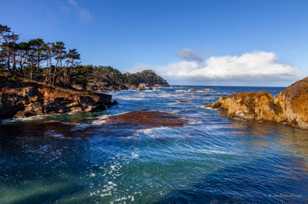 Point Lobos-1826.jpg